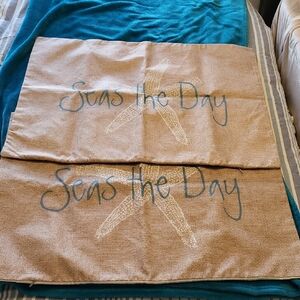 Emvency Tan and Blue Pillow Covers